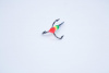 _MG_7413_edited