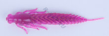 Приманка ZUB-LARVA  80мм(3,2")-5шт, (цвет 130) маджента с блестками