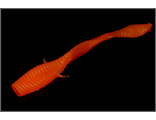 Червь "Ленточник" 56мм. цв. морковный (уп. 10шт.) арт.10703     Microkiller